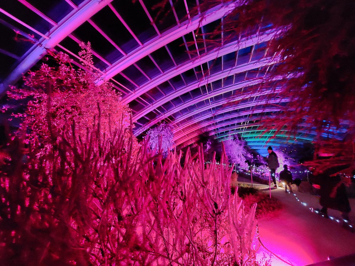 Tonight's #Christmas2022 was brought to you by #LuminateUK at <a href="/walesbotanic/">🏴󠁧󠁢󠁷󠁬󠁳󠁿 Gardd Cymru 🌿 Garden of Wales</a> #NadoligLlawen