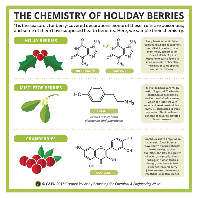 C&EN (Chemical & Engineering News) (@cenmag) on Twitter photo For the holiday season, we take a look at the chemistry of cranberries, mistletoe berries, and holly berries, and what makes them healthy or toxic: fal.cn/3uEN4 #PeriodicGraphics <a href="/compoundchem/">Compound Interest | Chemistry infographics</a> For the holiday season, we take a look at the chemistry of cranberries, mistletoe berries, and holly berries, and what makes them healthy or toxic: fal.cn/3uEN4 #PeriodicGraphics <a href="/compoundchem/">Compound Interest | Chemistry infographics</a>