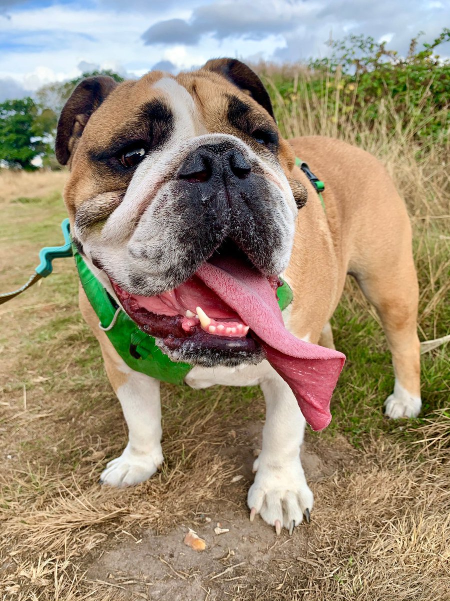 Helene Raynsford tweet media