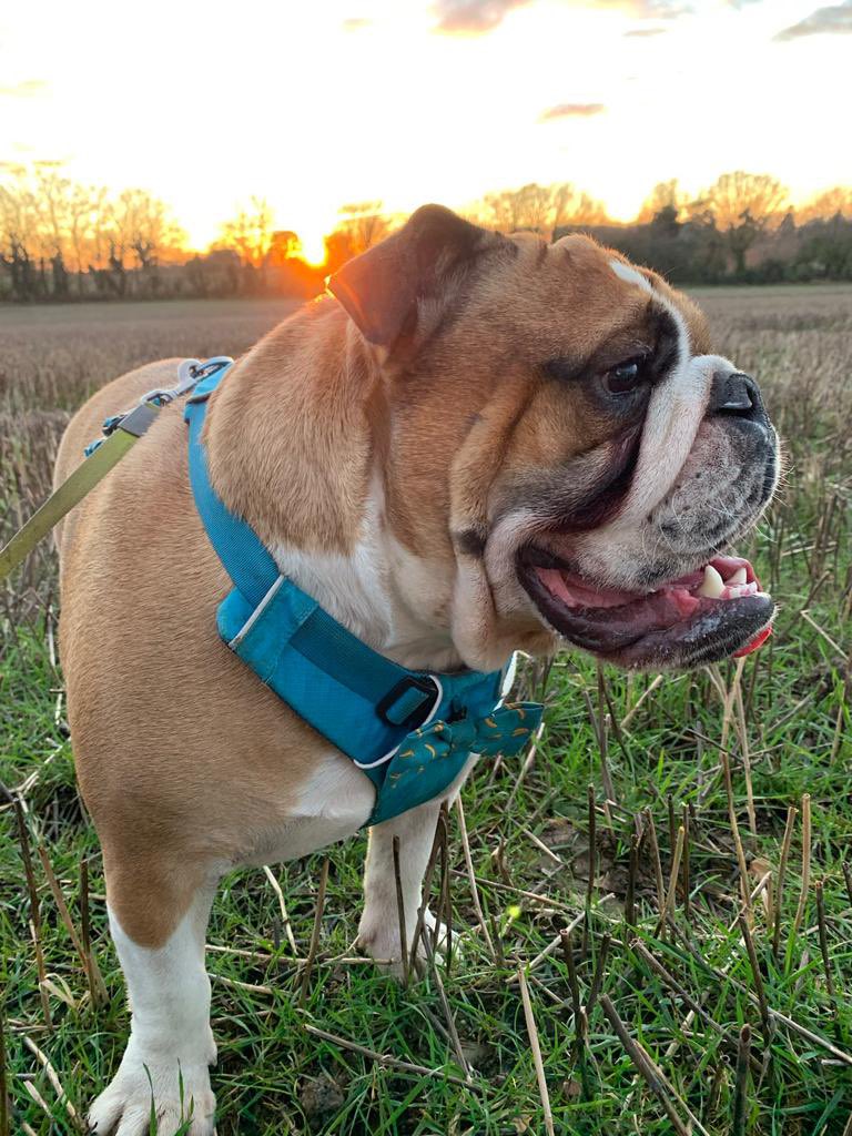 Helene Raynsford tweet media