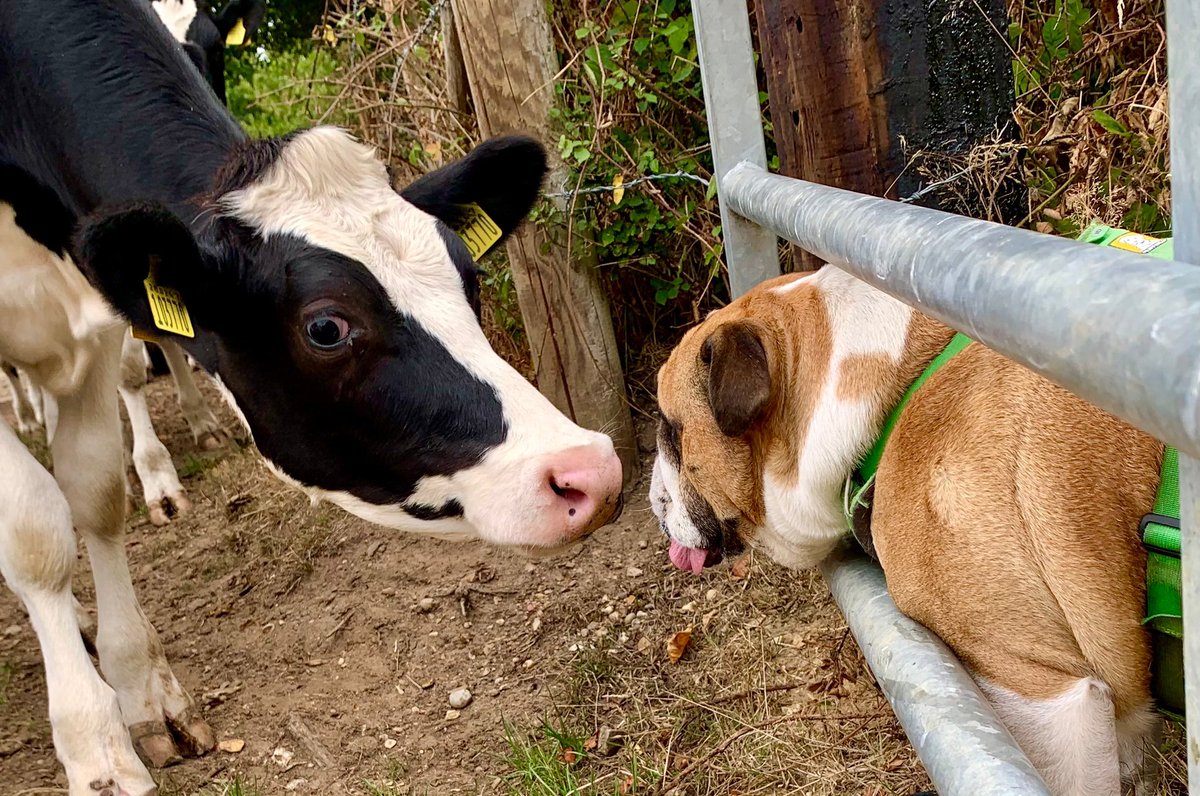 Helene Raynsford tweet media