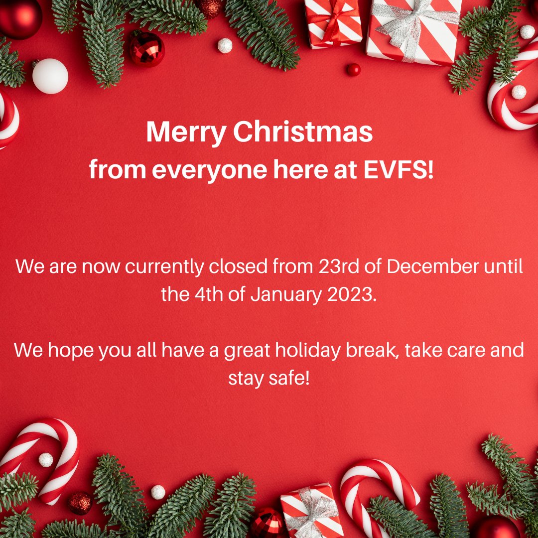 EV Future Solutions tweet media