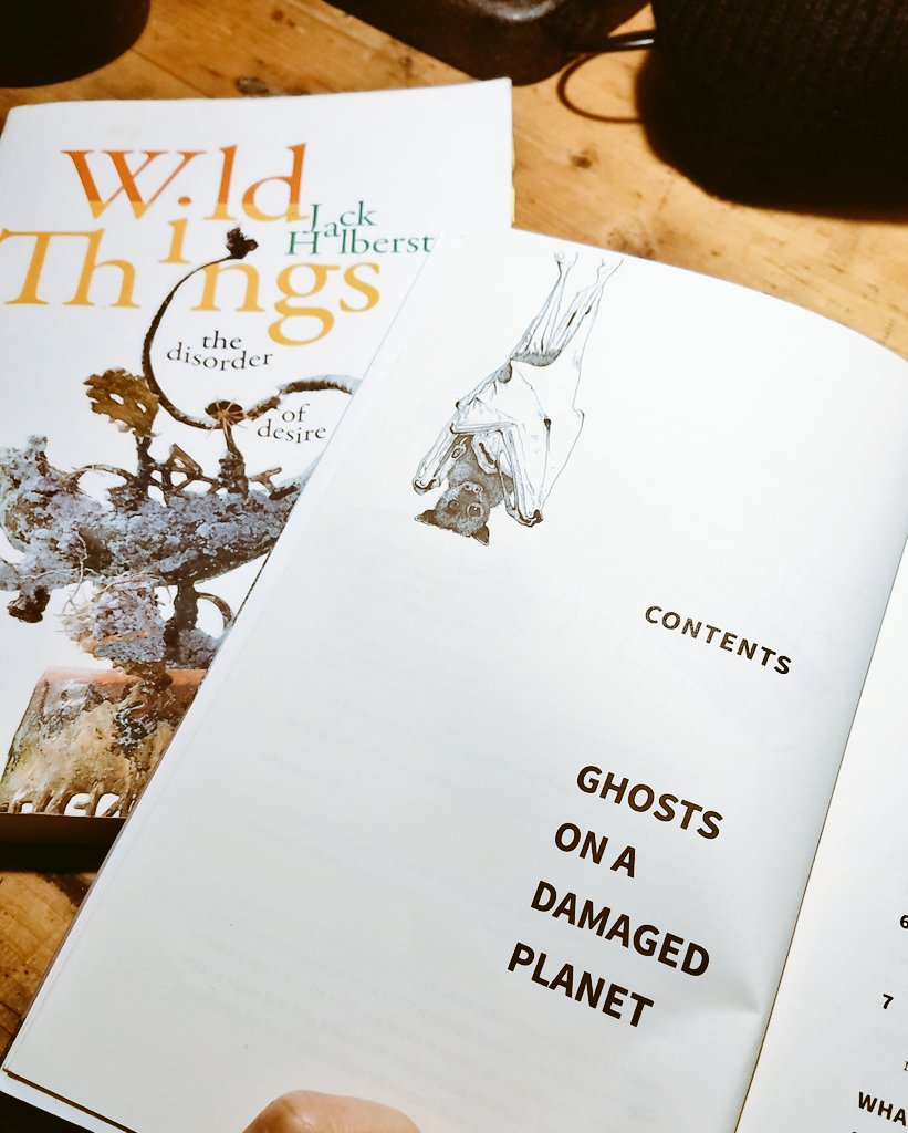 Julia Grillmayr 🦇 @JuGrr@bookstodon.com tweet media