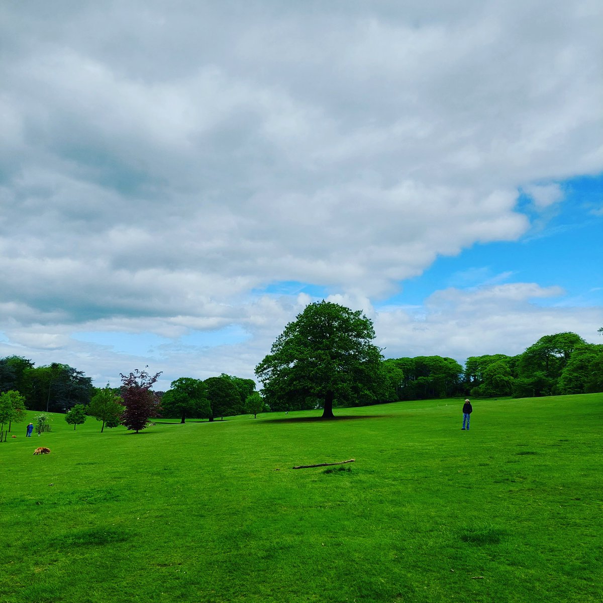 <a href="/ParksCommUK/">Parks Community UK</a> <a href="/NatFedParks/">NatFedParks</a> <a href="/wallyhallpark/">friendsofwaltonpark</a> <a href="/FieldsInTrust/">Fields in Trust 💚</a> <a href="/TheRealFPA/">Future Parks Accelerator</a> @BrisParksForum <a href="/parks_forum/">The Parks Management Association</a> <a href="/forum_parks/">The Midlands Parks Forum</a> <a href="/nwparksforum/">North West Parks Friends Forum</a> <a href="/futureparksbris/">Bristol Future Parks</a> <a href="/TCVtweets/">The Conservation Volunteers (TCV)</a> <a href="/WarleyWoods1/">Warley Woods</a> is my fave park in the suburb of <a href="/BearwoodHub/">Bearwood Community Hub 🧡</a> 3m from <a href="/BirminghamWeAre/">Birmingham We Are</a> It's unique among parks as it's run by a #Community Trust It's a <a href="/HumphryRepton/">Humphry Repton</a> designed 100 acre park with a 9 hole golf ⛳️ course I donate every month to the park&amp; <a href="/damejuliewalter/">Julie Walters</a> is a patron