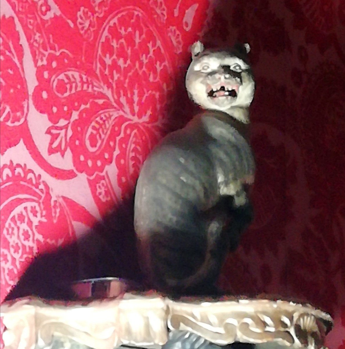 Vicky Shearman (@drvicky_s) on Twitter photo Today I went to get all Christmassy <a href="/TempleNewsam/">Temple Newsam</a> and the only photo I took was of this cat.
Gorgeous interiors, beautiful Christmas trees, and I photographed this bad boy! Today I went to get all Christmassy <a href="/TempleNewsam/">Temple Newsam</a> and the only photo I took was of this cat.
Gorgeous interiors, beautiful Christmas trees, and I photographed this bad boy!