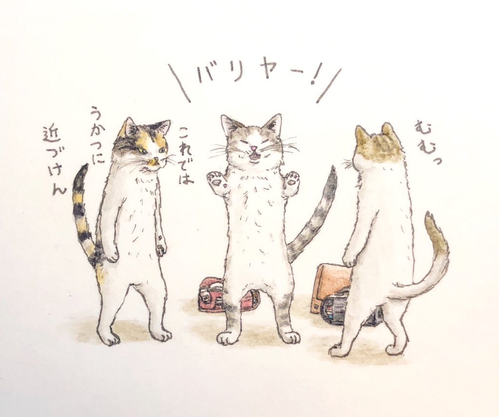 #作品を載せて自分の作品を知ってもらおう
『キミとダスキス😸😽』
1コマドタバタ猫ズの日常を気まぐれにUPしています✏️
(描き主:@elkpots )
のほほんとした世界でほっこりしてもらえたら嬉しいのです🐾