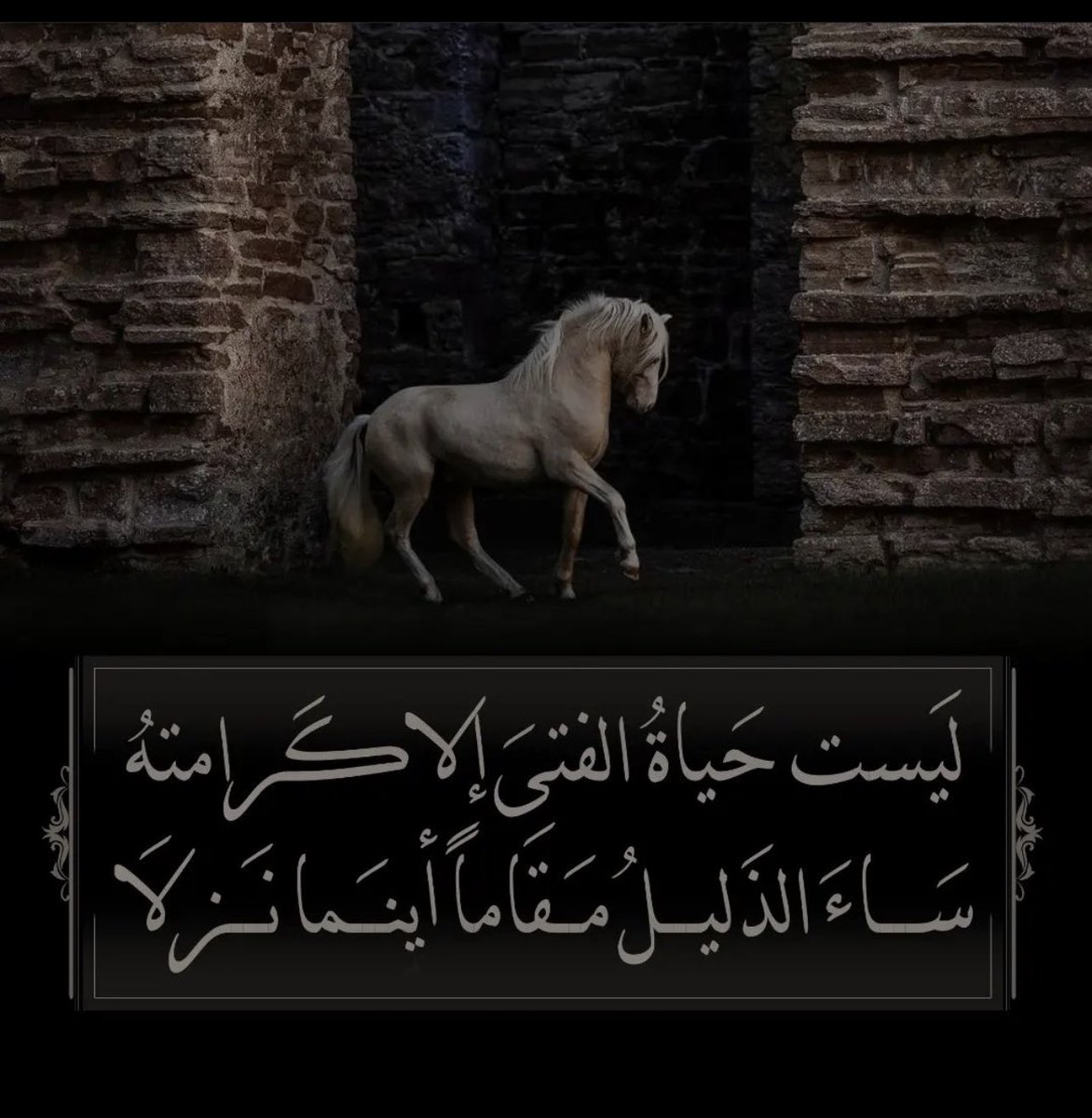 5leel0's tweet photo. #مساء_الخيرᅠ  🌷 https://t.co/cLC7FSX10x
