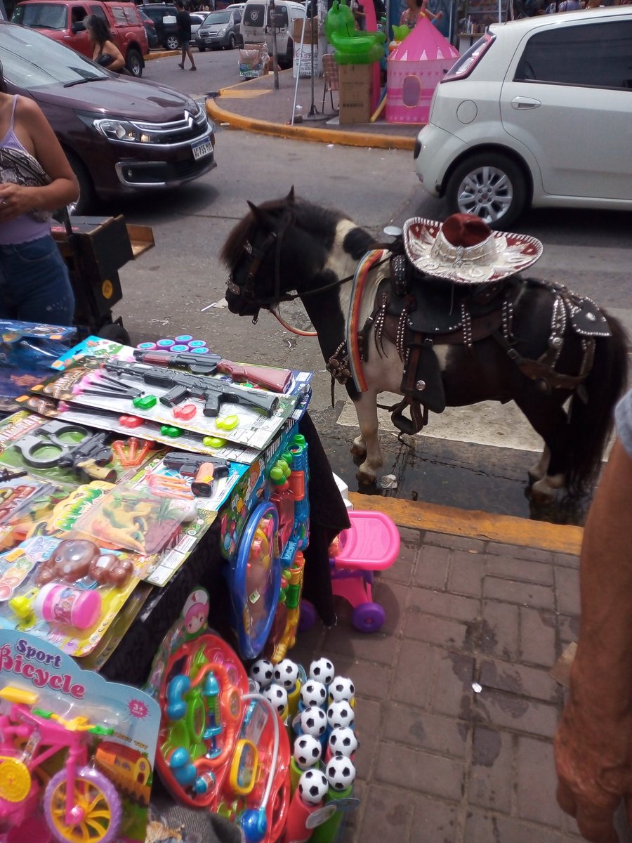 ¿Hasta cuándo esto? San Francisco Solano <a href="/QuilmesMuni/">Quilmes Gobierno</a>, animales bajo el sol durmiendose de parados, sin agua, para que algunos vivos se hagan unos pesos. Nos avisan que son 2. <a href="/ambientepba/">Ambiente Provincia</a>