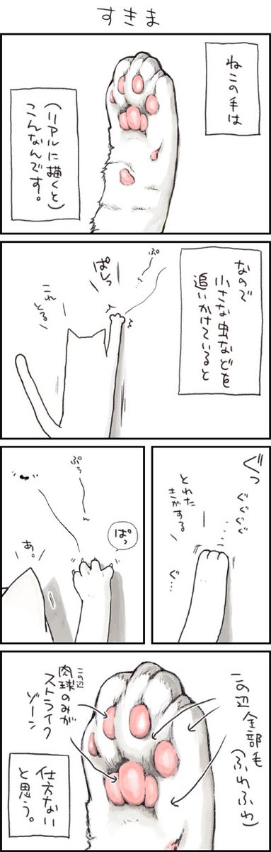 12年前のねこ 