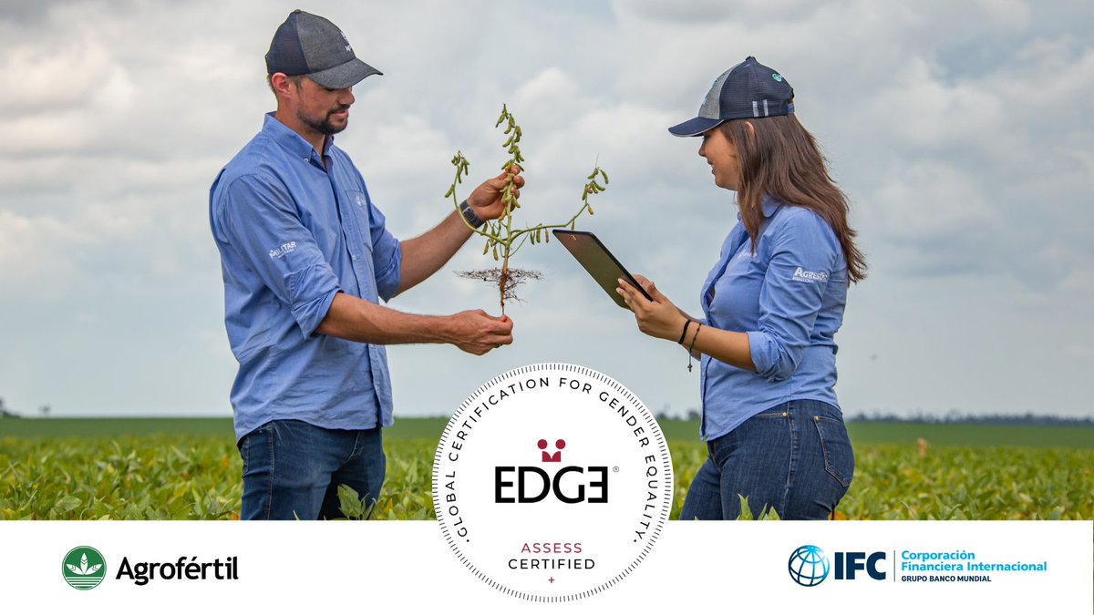 IFC_LAC's tweet photo. Diversidad, equidad e inclusión en #Paraguay 🇵🇾:
@Agrofertilpy se convierte en la primera compañía del país en obtener la certificación EDGE por sus avances en materia de #género 🙋♀️
¡Felicitaciones!
#EDGECertification #EDGEAssess https://t.co/RwPGqDUCI7