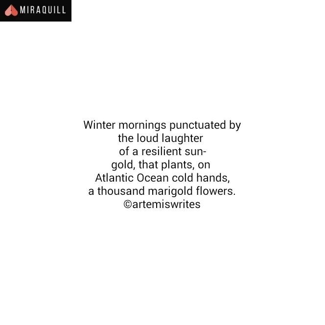 miraquillapp's tweet photo. Like | Comment | Share 🌸
Posted by: artemiswrites on @miraquillapp
Tags :
#miraquill
#mirakee
#writersnetwork
#writerscommunity
#upliftingart
#poemoftheday
#poetrysociety
#poemporn
#poet
#instapoet
#poemsofinstagram
#poetrygram
#poetrytr… https://t.co/mt3nInUTj1 https://t.co/7beNRL4mn7