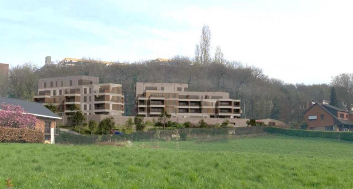 LucGOCHEL's tweet photo. La Ville refuse le projet immobilier rue des Bruyères à Cointe parce qu’il prévoit l’abattage de 70% des arbres existants : https://t.co/pz1Gdbg2nT via @sudinfo_be #Liège #Cointe #Urbanisme #Defraigne https://t.co/qvffriApnD