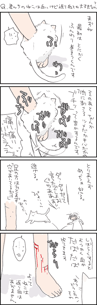 12年前のねこ 