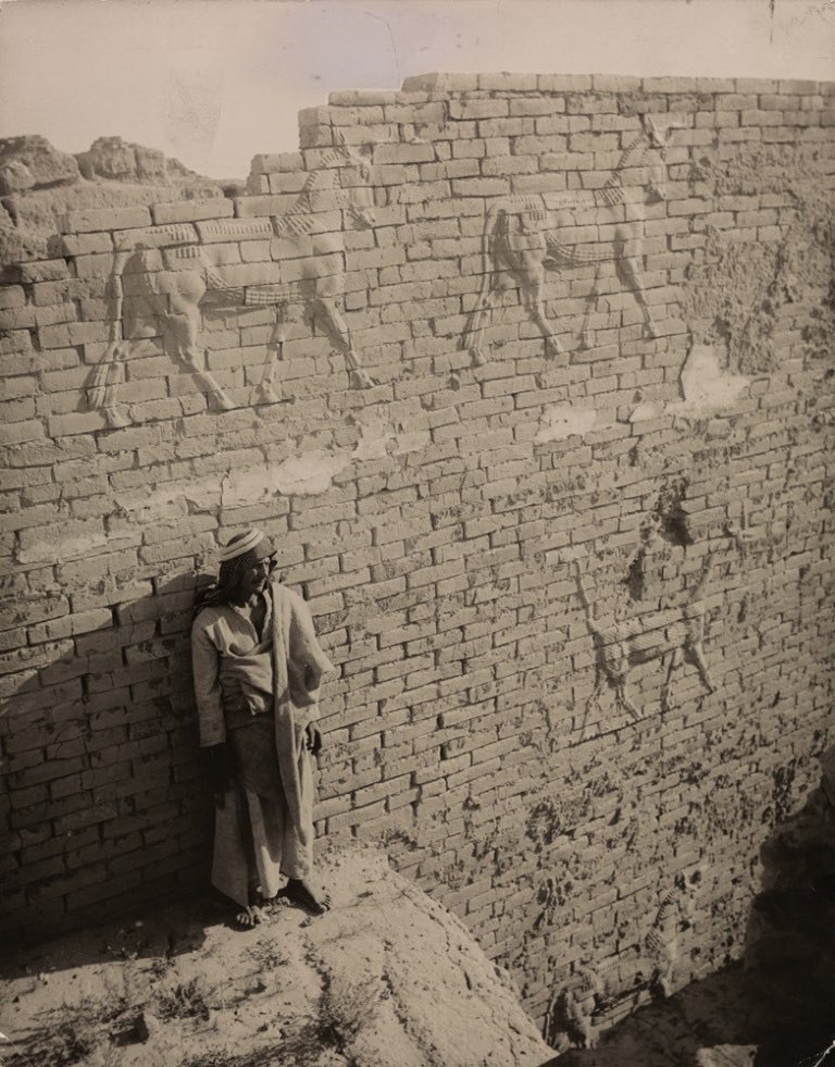 #lraqMsptmia tweet media