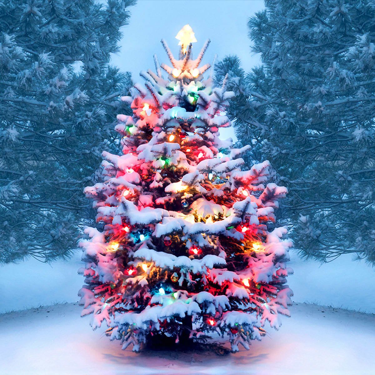RichardPaulMW's tweet photo. Merry Christmas from everyone here at Richard Paul Menswear!

Please note our Christmas opening hours below:

December 24th - 27th: CLOSED
December 28th - 30th: OPEN (10am - 4pm)
December 31st OPEN (10am - 2pm)

January 1st &amp; 2nd: CLOSED
January 3rd: Open as usual.

🎩❄️☃️ https://t.co/bxjE9g1ON4