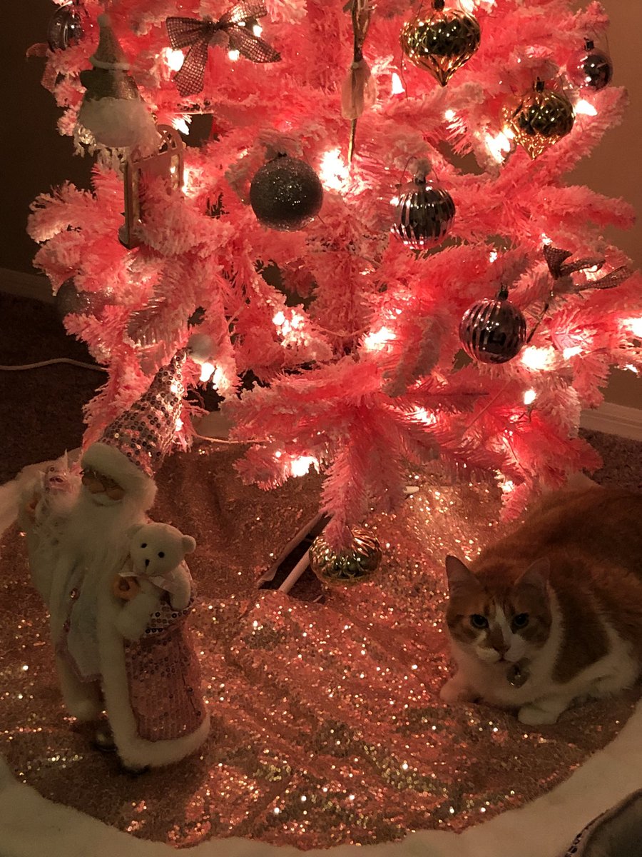 ruben_corella's tweet photo. #redlight #redlights #luces #led #ledlights #bulbs #bombillas #shining #shiningtree #Christmas #ChristmasTree #redtree #redchristmas #cat #gato #gatito #home #eclat #gatet #michi #minino #michi #navidadroja #rojanavidad #luz #rouge #lumiere https://t.co/S0dC6MCqfA