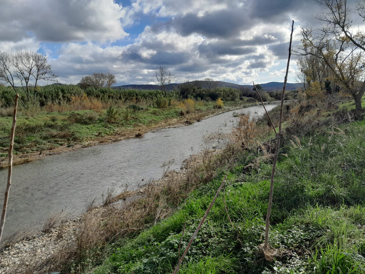rudy_rossetto's tweet photo. Yesterday works 4 enlarging the #Suvereto managed #aquifer recharge scheme started to infiltrate more than 2Mm3/y of #water!Well done #liferewat & #consorzio bonifica #Toscana Costa. @ScuolaSantAnna @H20EU @IAHItaly @LIFEprogramme @EU_ENV @UN_Water @iahgroundwater @WorldBankWater https://t.co/H9eBlMMggz
