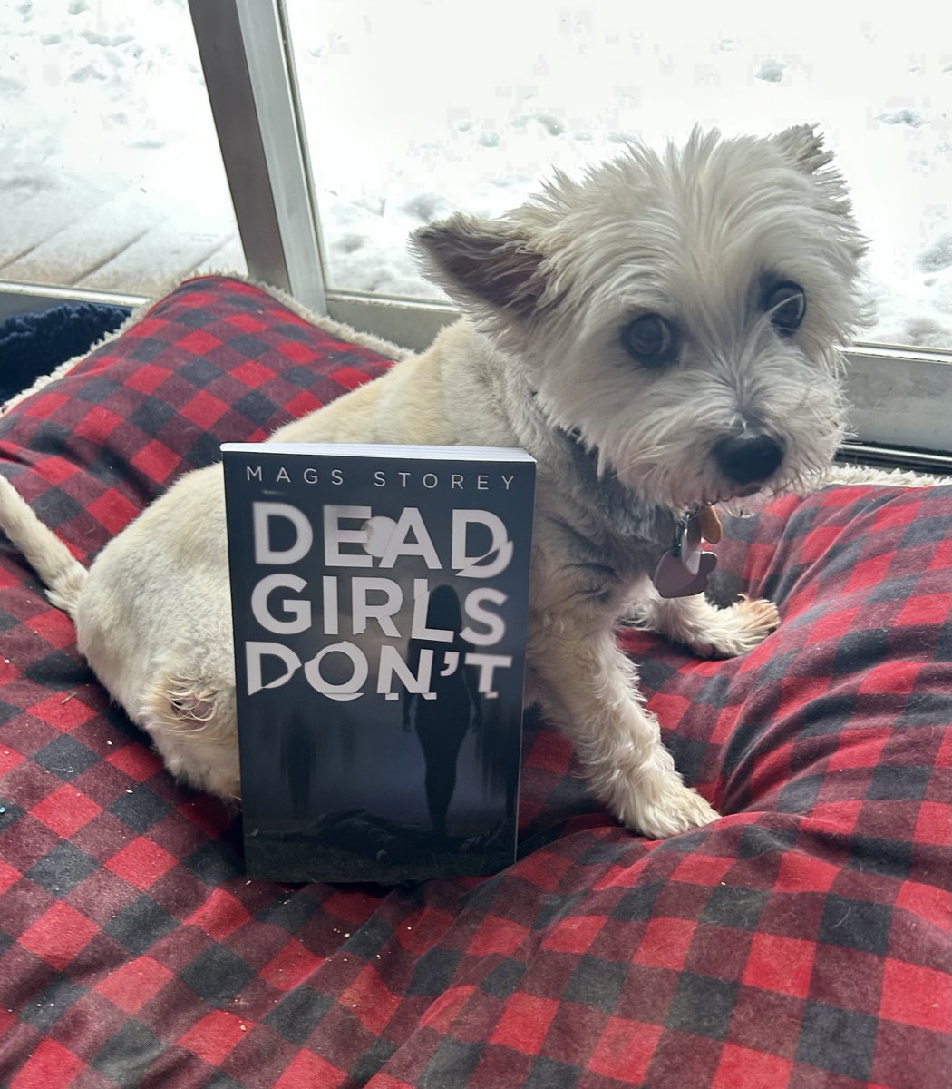 magsstorey's tweet photo. My copies of Dead Girls Don't have arrived! I think they're absolutely gorgeous. But Small Dog thinks it smells scary. 
#amwriting #WritingCommunity  #romance https://t.co/eJlR9Qk9Mn