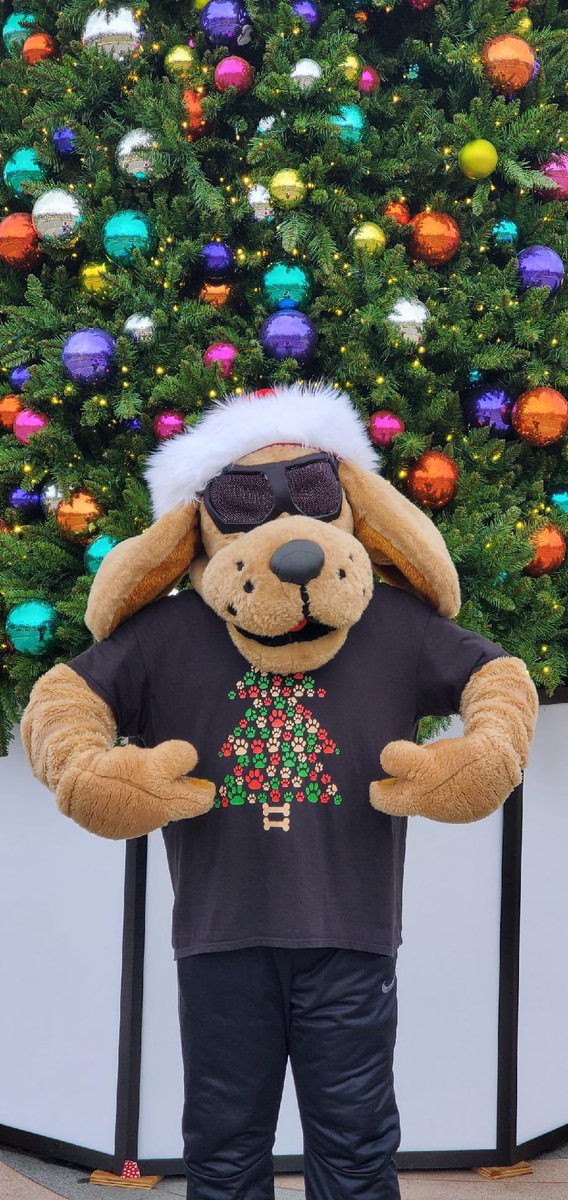 🎅🏻🧑‍🎄Christmas Eve, Eve is officially here. Just 2️⃣more days 'til Christmas!