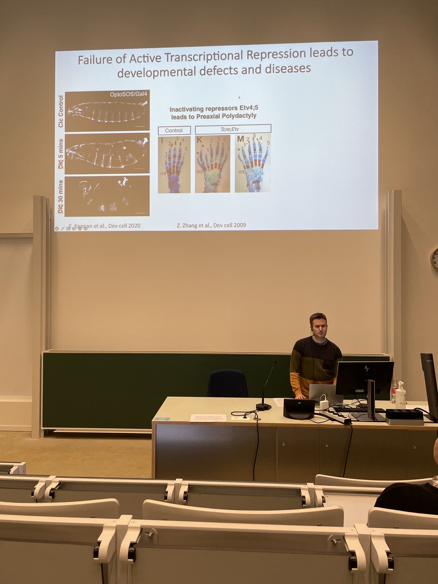 Jelle Jacobs (<a href="/jacobsjelle1/">Jelle Jacobs</a>), an alumnus of the @steinaerts lab, gave an inspiring talk on uncovering regulatory specificities between transcriptional repressors and enhancers.