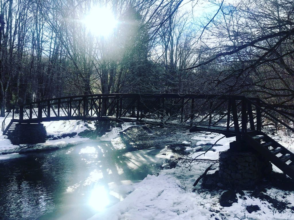 ForestFestival tweet media