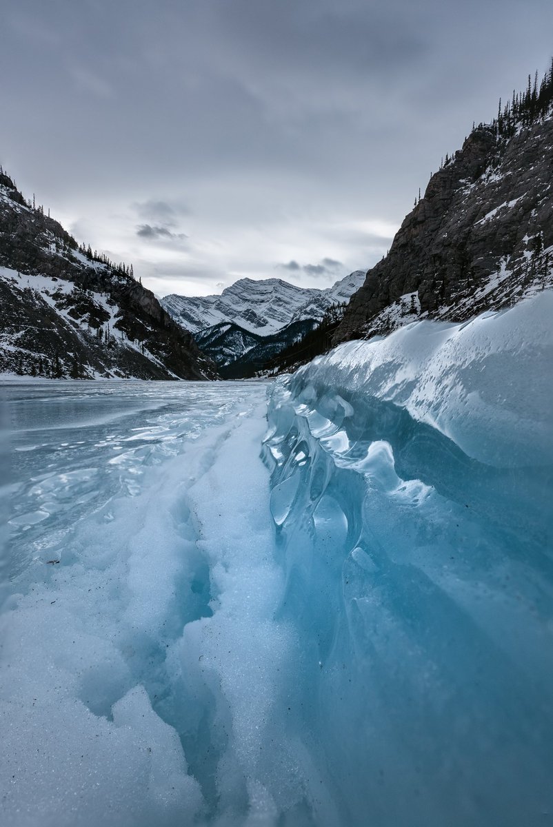 a chilly gm,
happy holidays ❄️