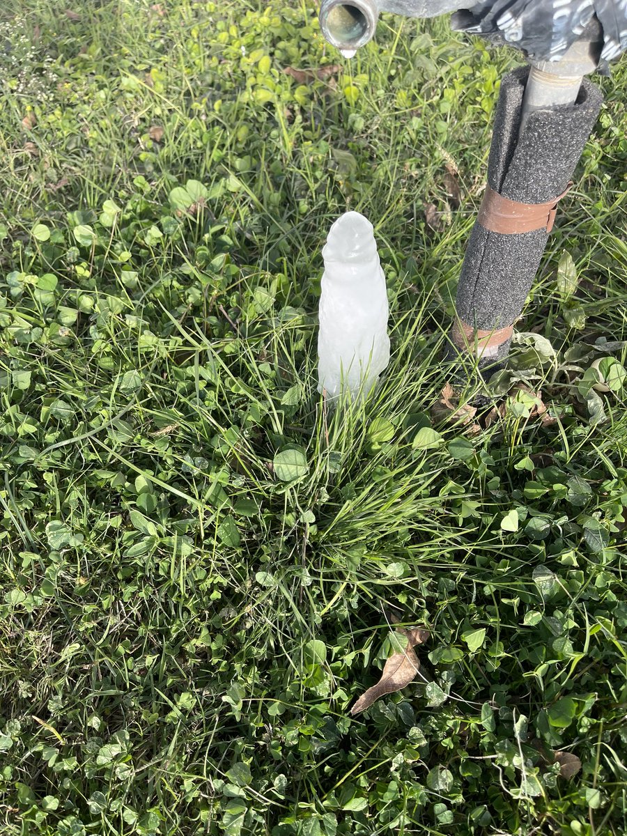 Frosty woke up happy!  🤣🤣🤣