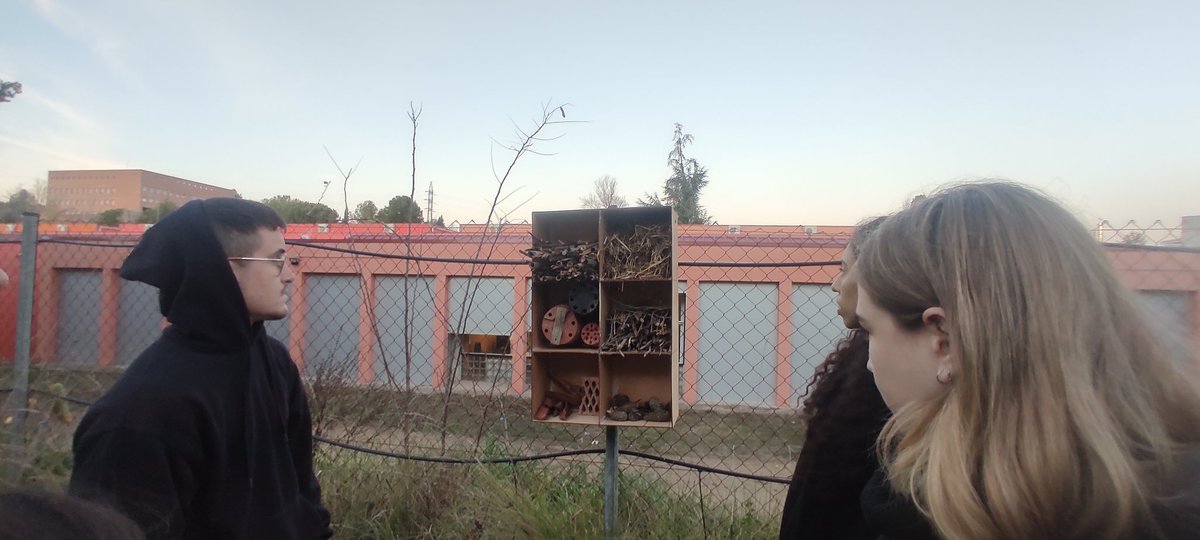 BernatRios's tweet photo. I per acabar l'assignatura ens mirem els productes finals, revisem el camí que ens hi ha portat i reflexionem sobre la transposició didàctica. Bona feina mestres!
@EducacioUAB
@UABOpenLabs @HortAulaUAB https://t.co/weiIg4IXCp