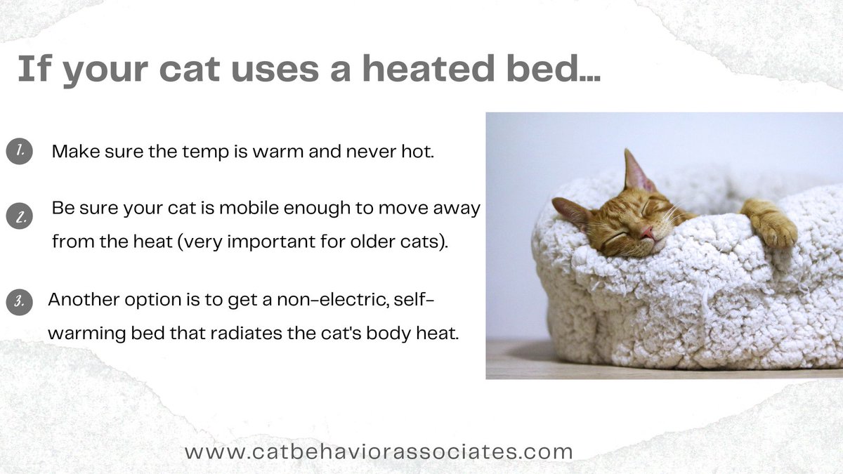 ThinkLikeaCat's tweet photo. With the extreme temps, even indoor cats are looking for extra warmth. If you provide a heated bed for your cat, do so safely. Even though senior cats appreciate the warmth, it's important to make sure they're physically able to move away from it if they get too hot. https://t.co/fCA7XIPlQb