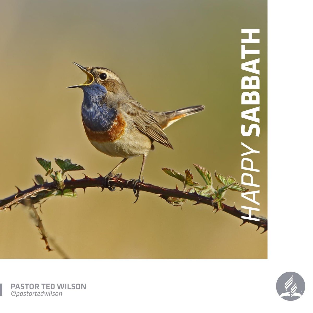 Happy Sabbath!

#Sabbath #HappySabbath