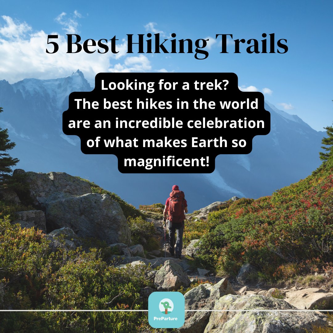 Preparture_Inc's tweet photo. 1. The Great Ocean Walk, Australia
2. Kungsleden, Sweden
3. Gotemba Trail, Japan
4.  Kalalau Trail, USA
5. Mount Meru, Tanzania

#hikingtrails #besthikingtrails #hikingview #mountains #traveltomountains #beautifuldestinations #preparture #managetours #bookus #travelagency https://t.co/TCYANymTtI