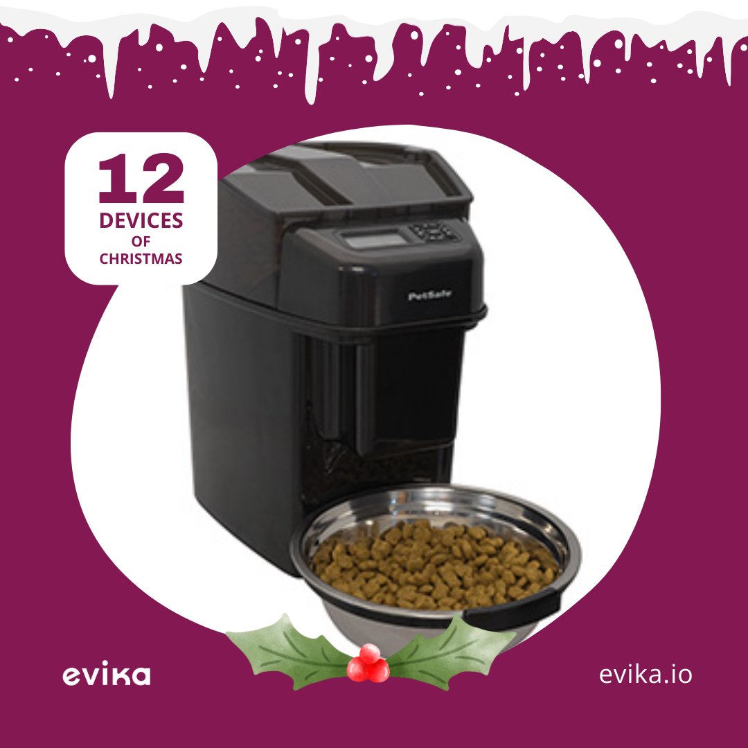 evikaLiving tweet media