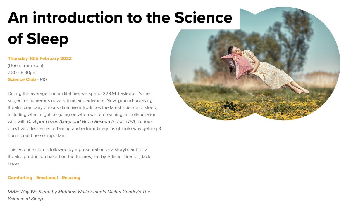 curious directive tweet media