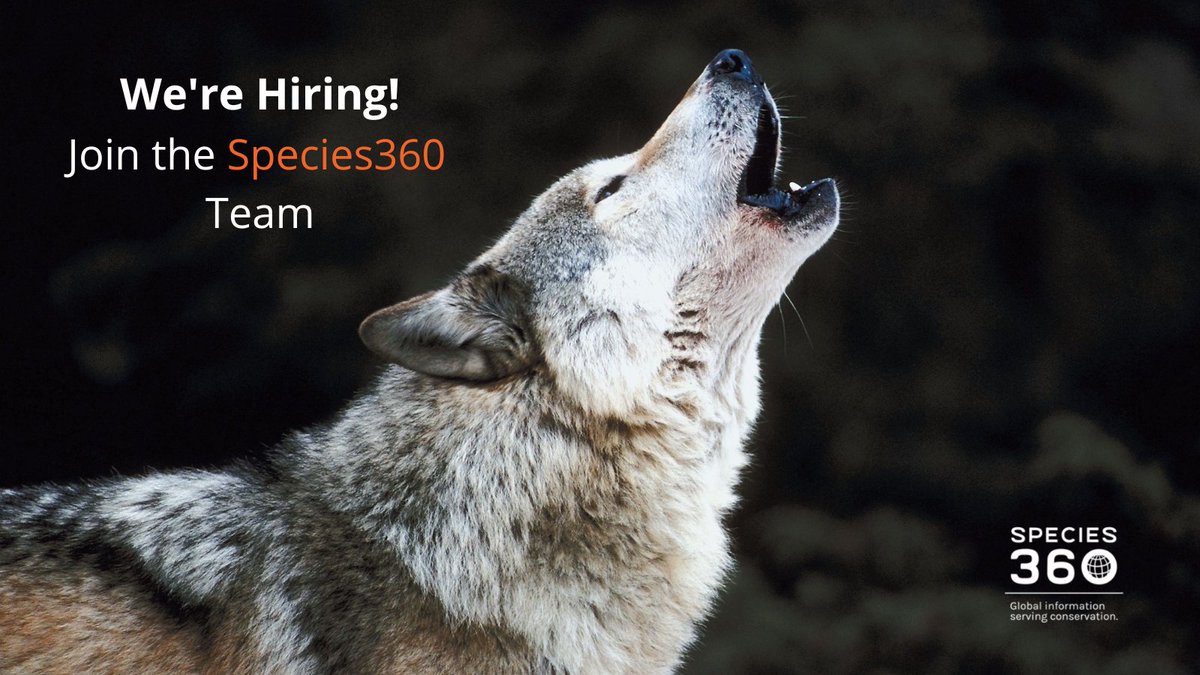 Do you consider yourself a #ZIMS expert, and would you like to work with an amazing group of people? 🤔

Species360 is looking for a Member Training Specialist to join our international team. 

Follow the link to learn more 
👉 species360.org/about-us/caree…