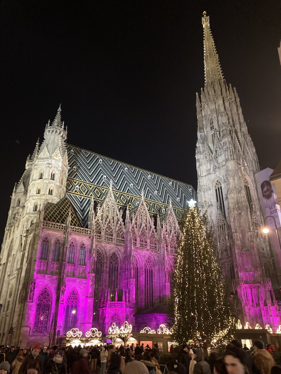Merry Christmas and best wishes for a healthy and prosperous New Year from magical Vienna! 
#eventprofs