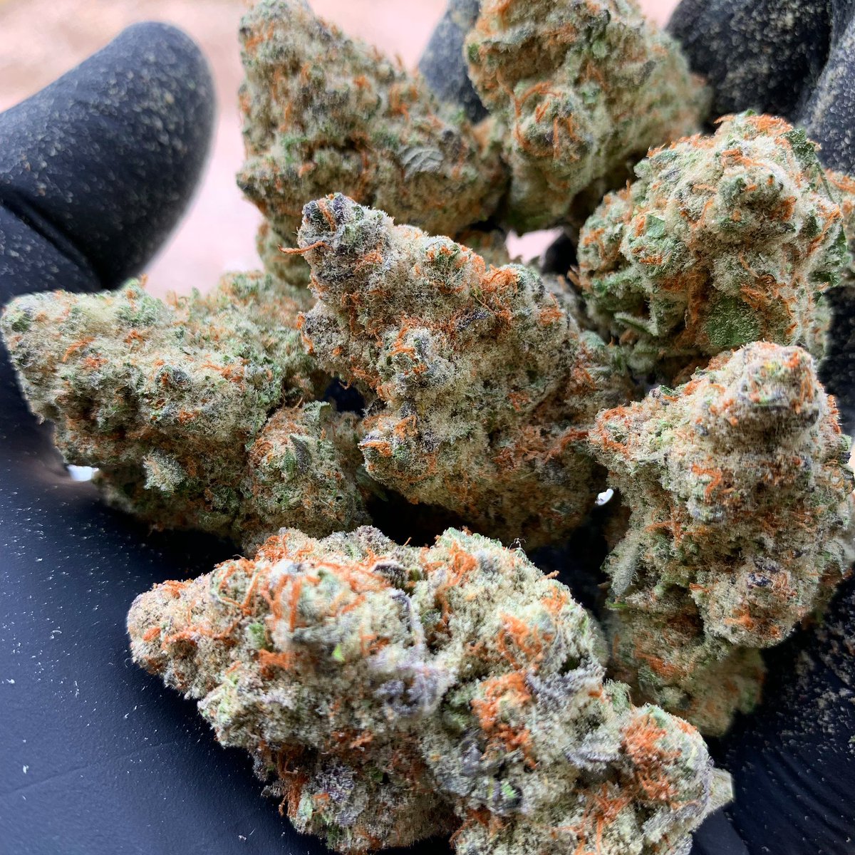 Let’s get one more #giveaway in before Christmas baby! This will be for a sold out pack of Strawberries &amp; Cream from exoticgenetix.com! 

🚨Rules

• Follow <a href="/exoticgenetix/">Exoticgenetix</a> 

• Tag 3 friends 

• Like + Retweet

🎉 Winner announced in 48 hours! Good luck!🤙🏼#exoticgenetix