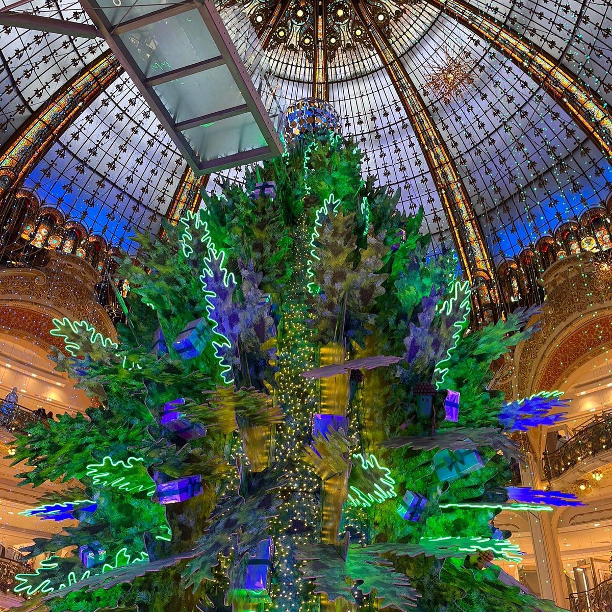 Dr Tom Crawford tweet media