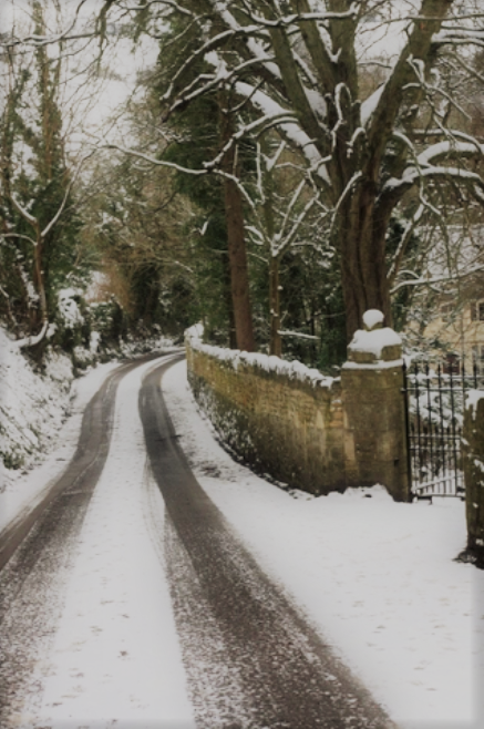 STAtinyUmbrella's tweet photo. ✨"Christmas Angel"✨
Chapter 23: No Place Like Home
✨tw // mature content
✨hyvnlx
✨m|m
✨regency era au

https://t.co/9XTgbErmpl https://t.co/u3j8a6xVgK