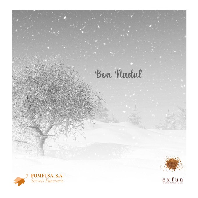 Us desitgem que passeu un Bon Nadal 🎄