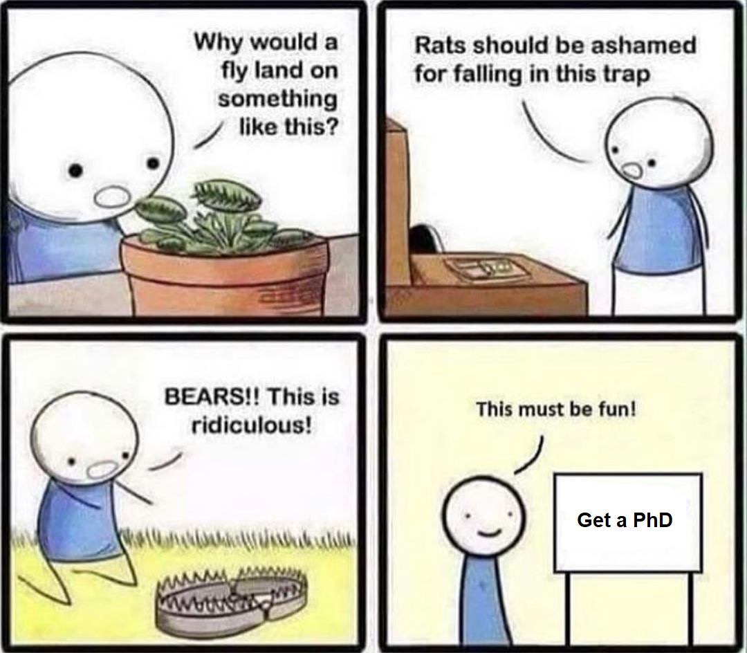 😆😆😆😆😆😆😆