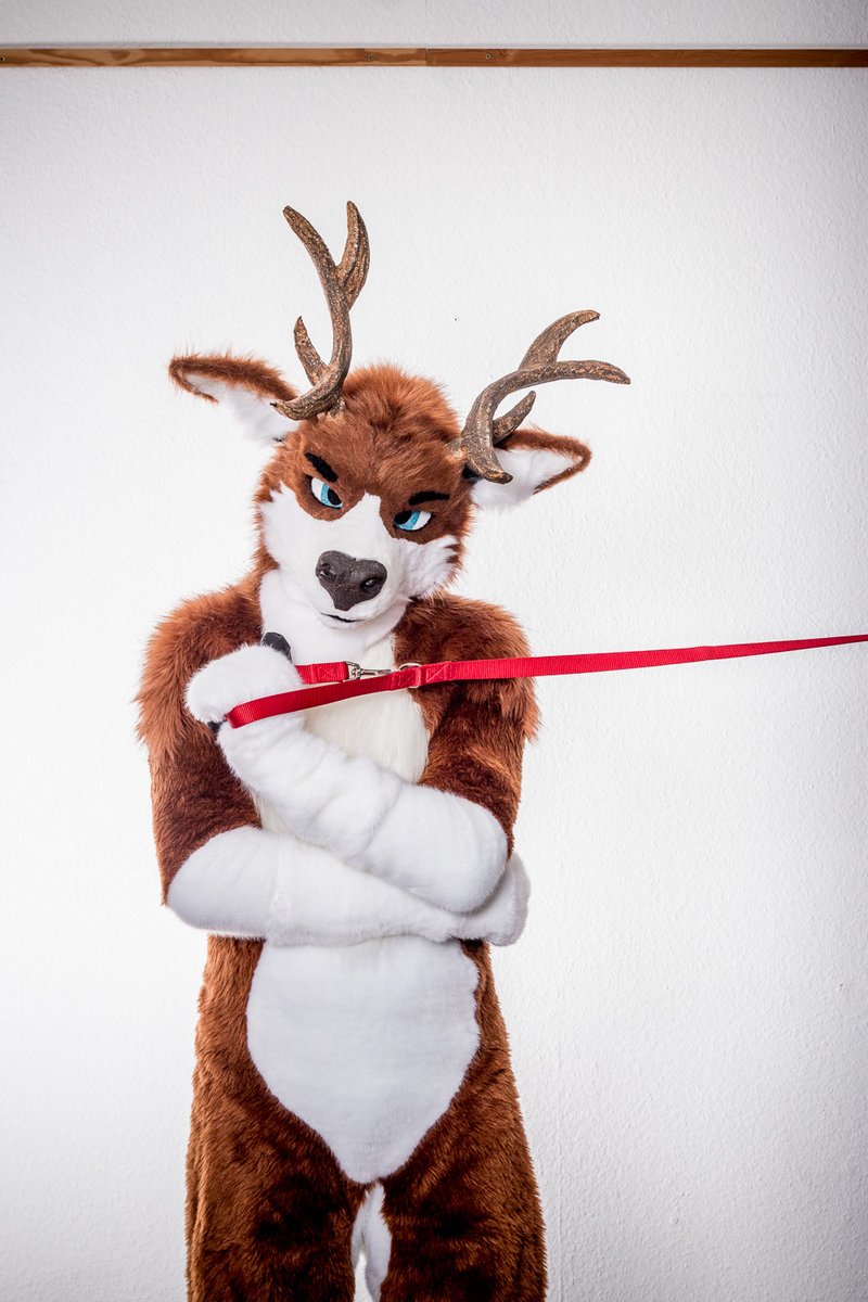 Maybe it's you on the other side of the leash. #FursuitFriday 
📸<a href="/sordeo/">Sordeo Black</a>