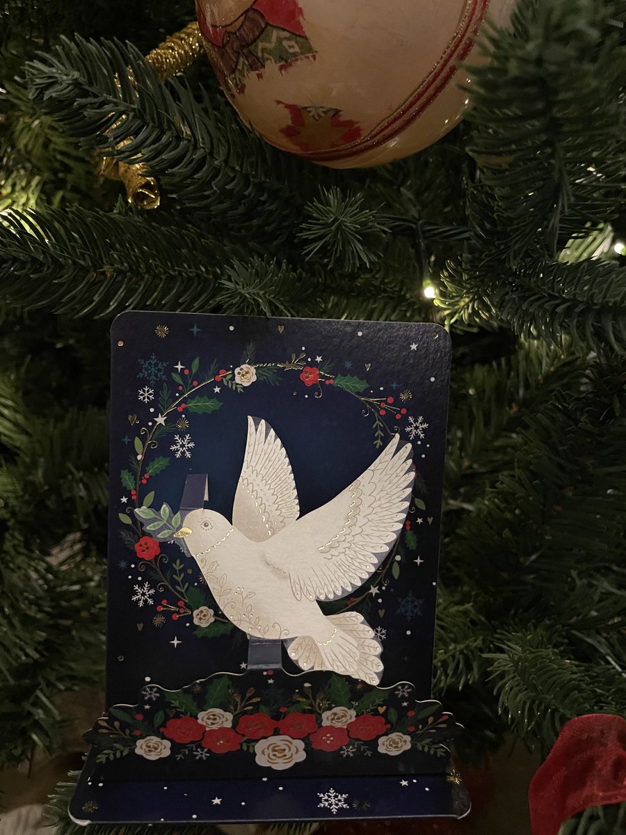H2020_FRAMEwork's tweet photo. 🎄Our #ChristmasCountdown is nearing its end...

📍For Day 10 we received a goodwill dove from @ScuolaSantAnna 

🧐 Did you know...a dove beats its wings up to 10 times per second!

#BuoneVacanze! #GiftsOfNature https://t.co/Cno3DPzeDU