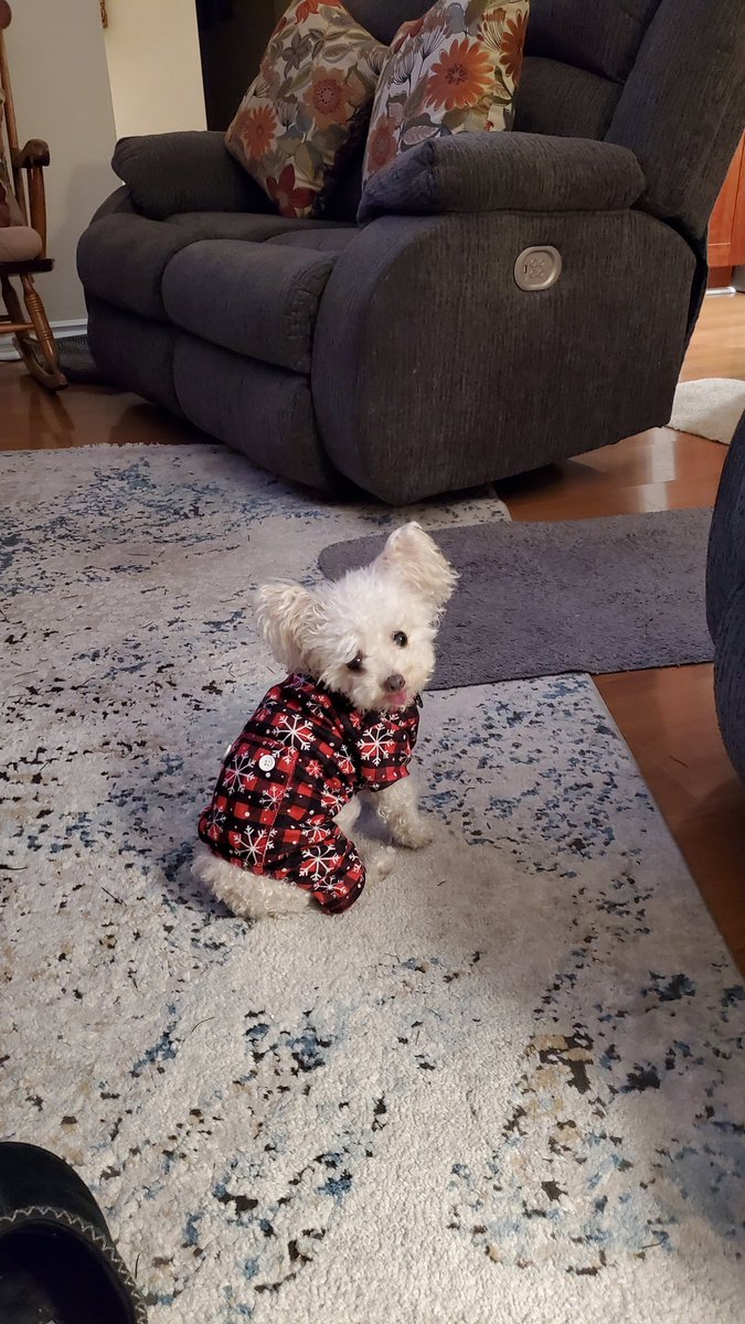 Realred4U's tweet photo. Hanna Banana wishing everyone a very Merry Christmas!!! #thehannabananashow https://t.co/l0q5xuePR1