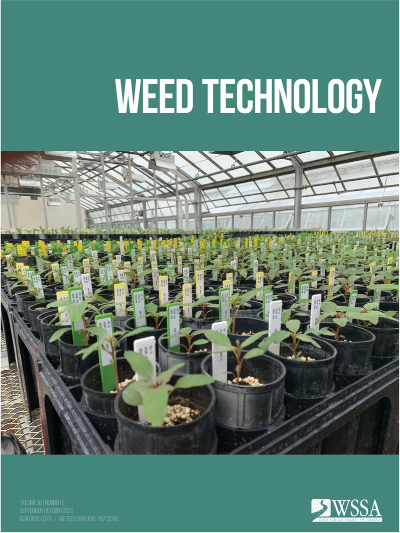 Rodrigo Werle (@wiscweeds) on Twitter photo .<a href="/FFaleco/">Felipe Faleco</a>'s picture of his MS experiments <a href="/UWMadisonCALS/">UWāMadison CALS</a> Walnut Street Greenhouse evaluating multiple herbicide resistance in #waterhemp (Amaranthus tuberculatus) accessions from Wisconsin made the front cover of Weed Technology!
#OpenAccess paper: bit.ly/3VkyBZe .<a href="/FFaleco/">Felipe Faleco</a>'s picture of his MS experiments <a href="/UWMadisonCALS/">UWāMadison CALS</a> Walnut Street Greenhouse evaluating multiple herbicide resistance in #waterhemp (Amaranthus tuberculatus) accessions from Wisconsin made the front cover of Weed Technology!
#OpenAccess paper: bit.ly/3VkyBZe