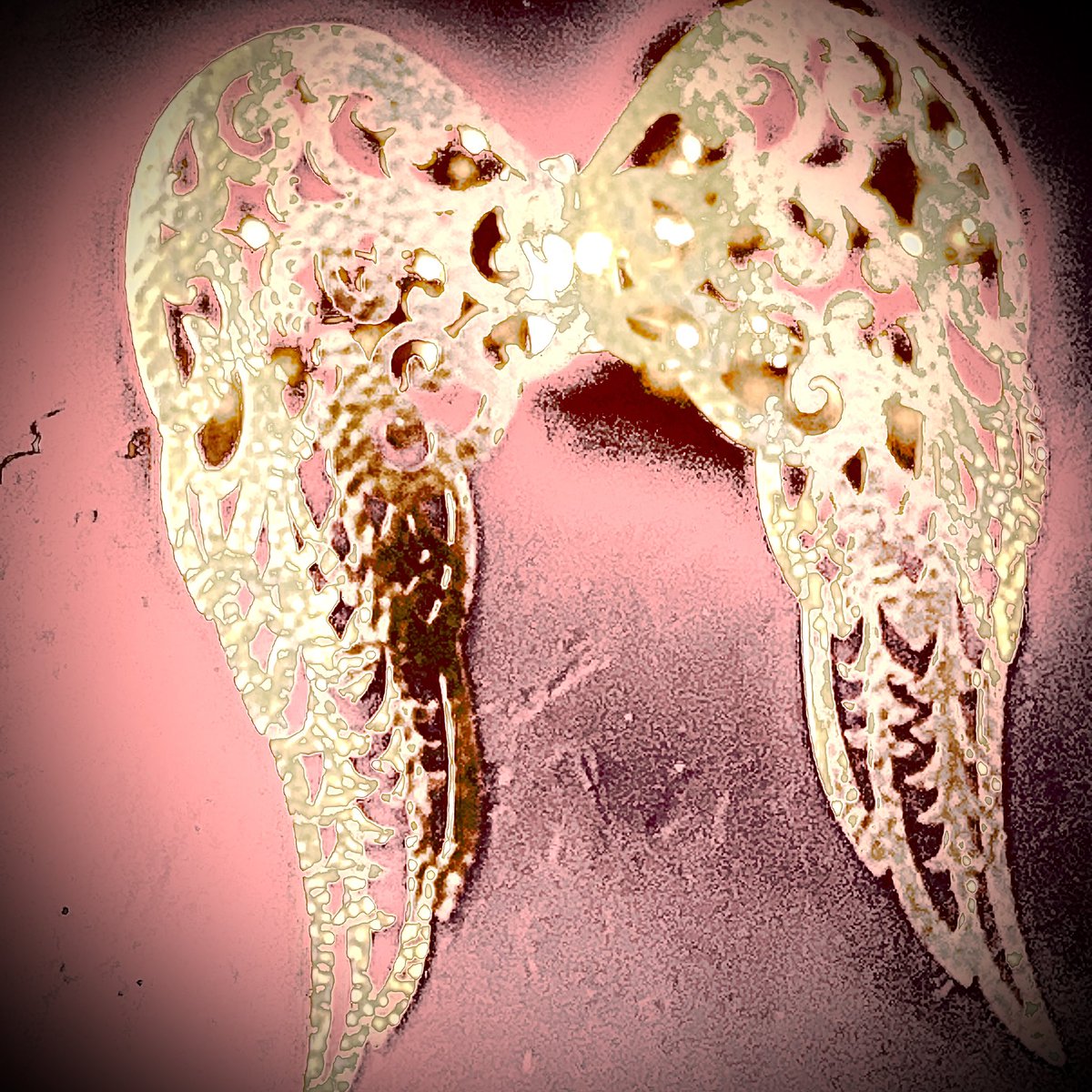 Bitbotch420 (@bitbotch420) on Twitter photo 