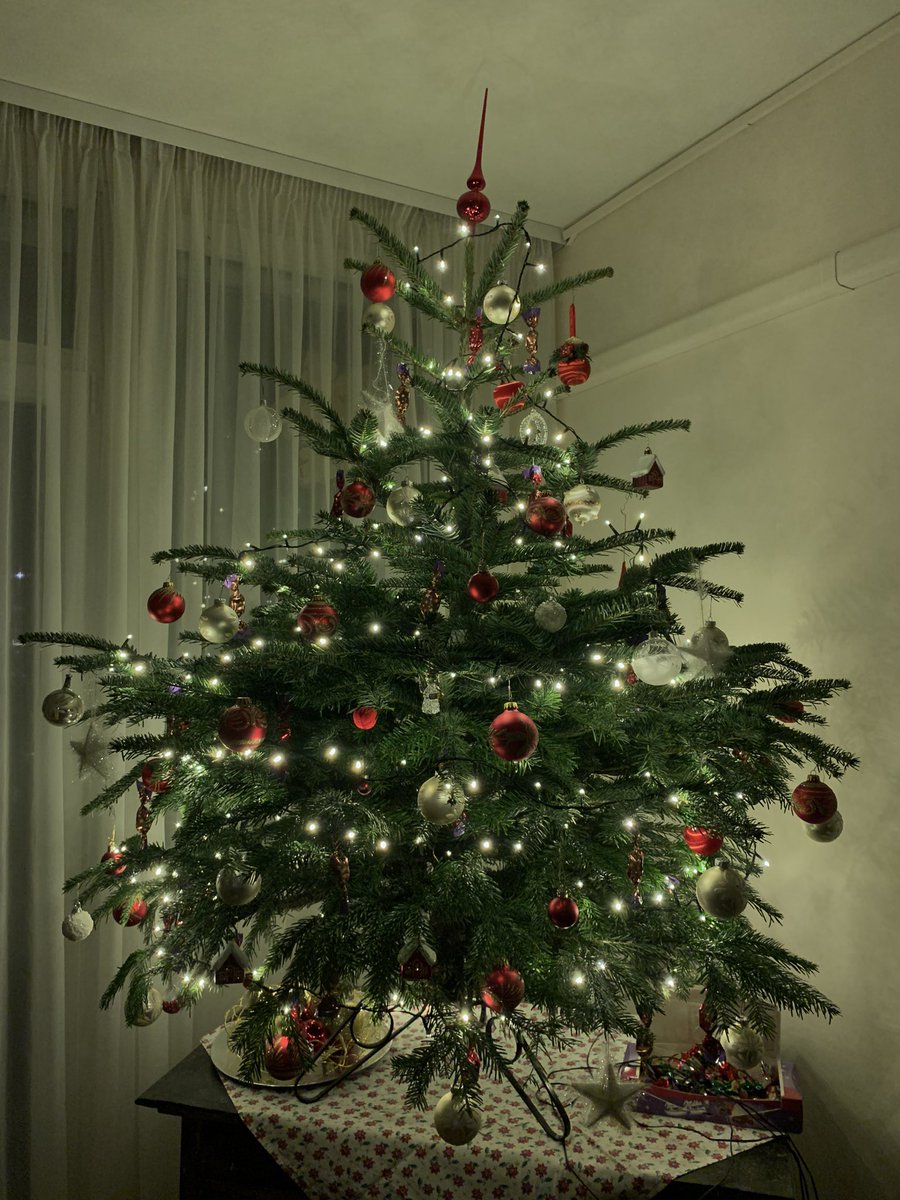 Tree is up✅