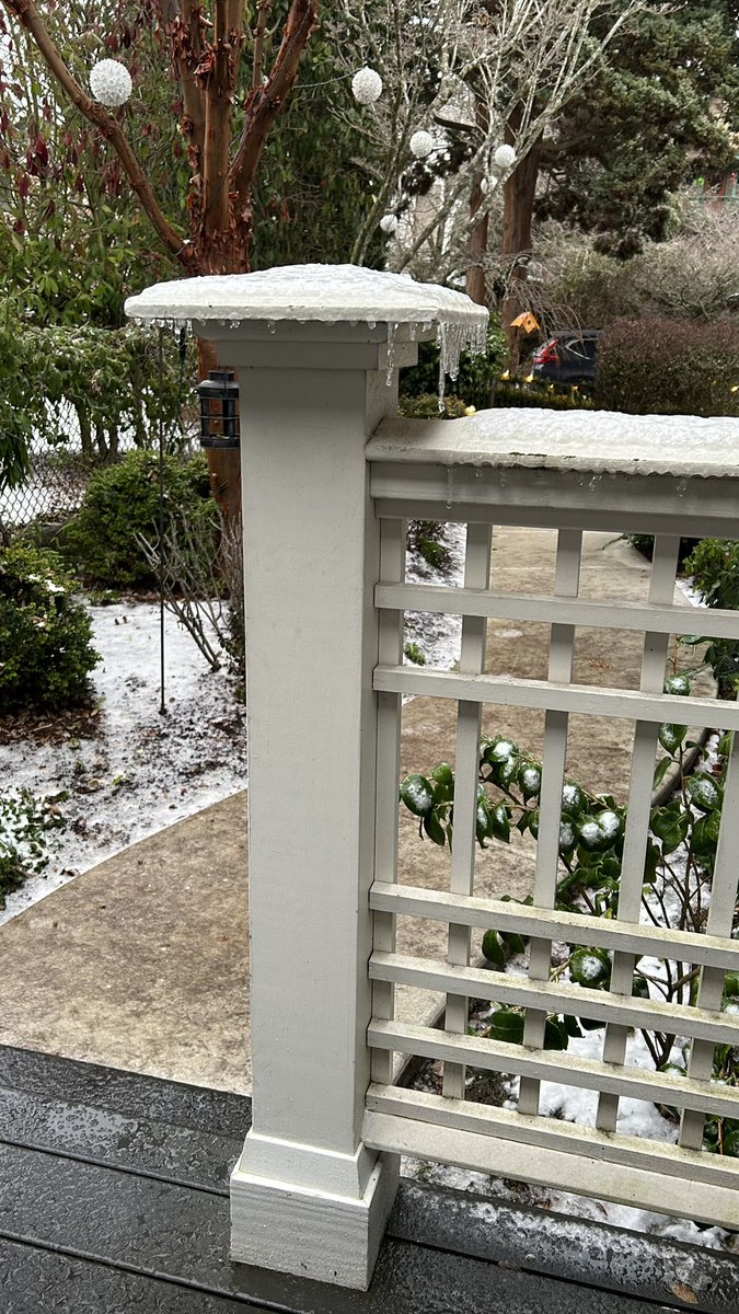 mjtwit's tweet photo. Well, first time for everything.
Iced-in #seattle #westseattle https://t.co/0mHYPKvTDr
