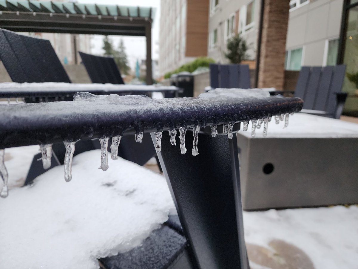dickwyn's tweet photo. icy wonderland.

my shoes had very little traction, felt like i was skating across the sidewalk.

#wawx @KSeattleWeather https://t.co/8bLCtHjMMt