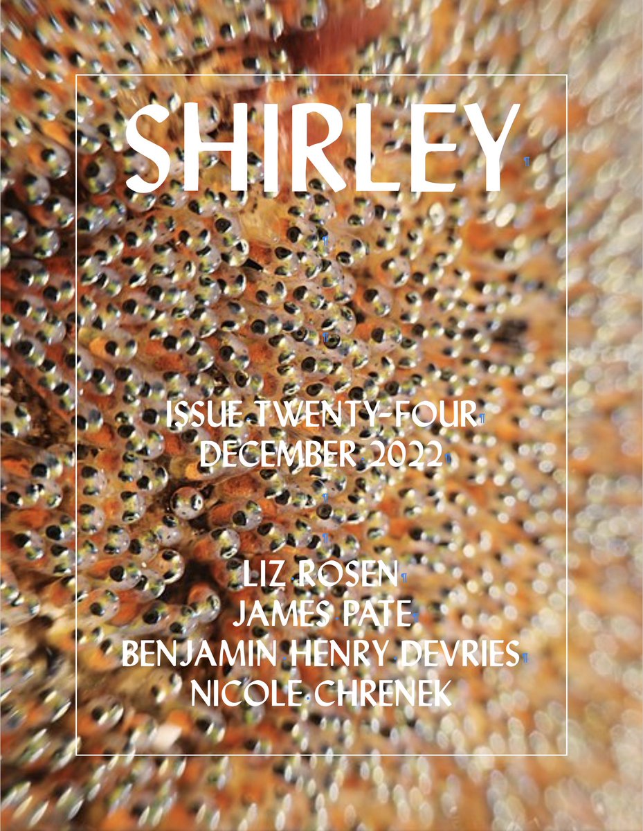 Issue 24 is up today, with four stories fresh and alive for you to enjoy 🥚✨ Featuring work by Liz Rosen, James Pate, Benjamin Henry DeVries, and Nicole Chrenek. Enjoy!
shirleymag.com