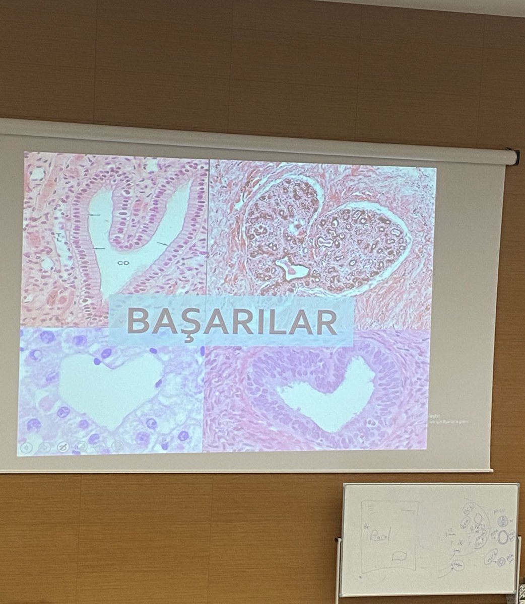 böyle şovlara da iyi dileklere de gerek yok hocam çıkmış sorun yüzümüze sövseniz de olur